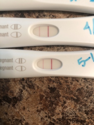 Frer Line Fine Regression On Walmart Cheapie Countdown To Pregnancy