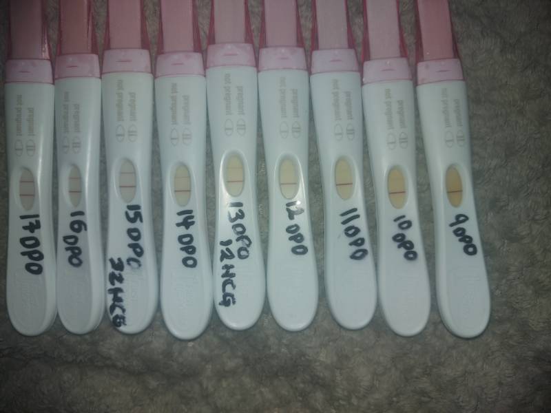 Photo Gallery 17 Dpo Search Results Page 2 Countdown To Pregnancy